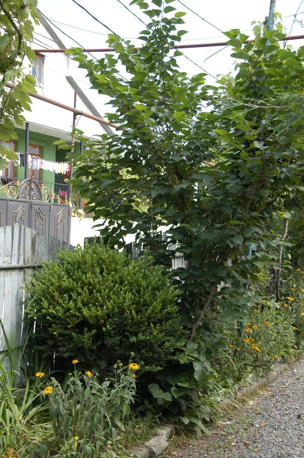 Guest House Barbi Batumi Exterior foto